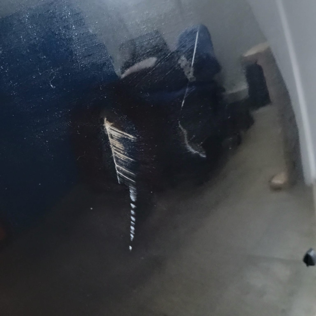 Capot Ford Ka Desde 2015 Al 2021 Ford Color Negro (06258359) - Imagen 3